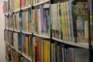 Etude comparative des collections et emprunts pour les bibliothèques du 22, 29 et 35