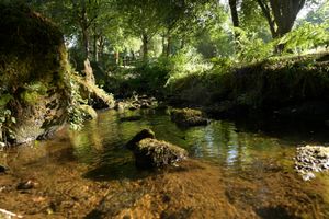 Qualité des cours d'eau des Côtes-d'Armor